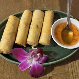 Spring Roll Spring Roll