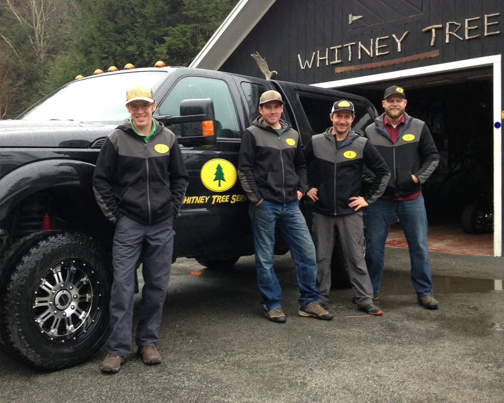 Whitney Tree Service - tree service in Warren, VT