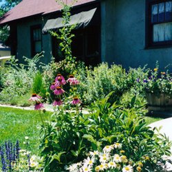 Flagstaff Clinic Of Naturopathic Medicine - Front of Clinic Spring