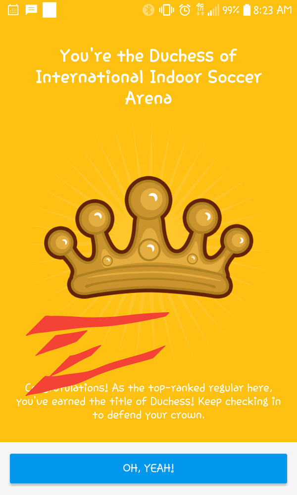 international indoor soccer arena