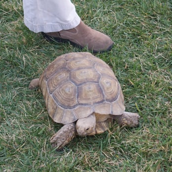 Reptacular Animals - Reptacular Animals Party - Party & Event Planning Near Me - Sun Valley, California Reptacular Animals - Reptacular Animals Party - Party & Event Planning Near Me - Sun Valley, California