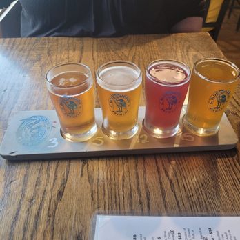Blue Heron Brewery - Beer flight - Brewpubs Near Me - Medina, Ohio