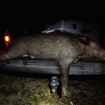 Boars Nest - Wildlife Hunting Ranges Near Me - Columbus, Texas