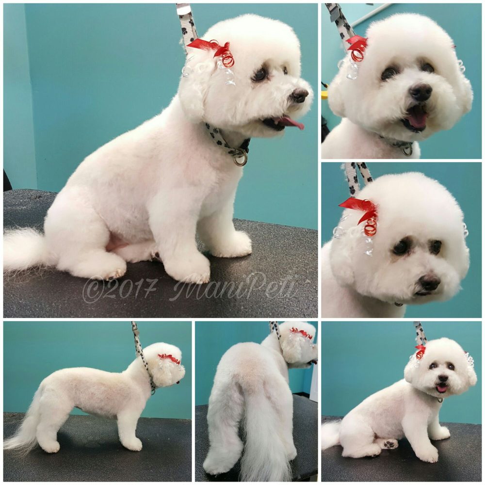 MANI PETI PET GROOMING Updated September 2024 34 Photos & 10