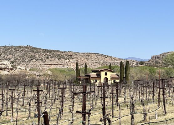 Alcantara Vineyards and Winery by null