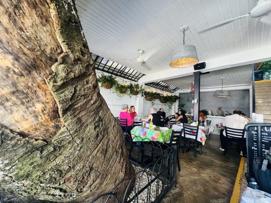 La Casita Blanca by null