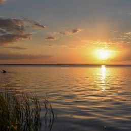 Phenomenal sunsets!! And dolphins visit every evening. Phenomenal sunsets!! And dolphins visit every evening.