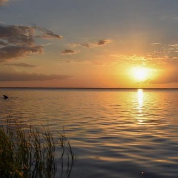 Key Vista Nature Park - Phenomenal sunsets!! And dolphins visit every evening. - Parks Near Me - Holiday, Florida Key Vista Nature Park - Phenomenal sunsets!! And dolphins visit every evening. - Parks Near Me - Holiday, Florida