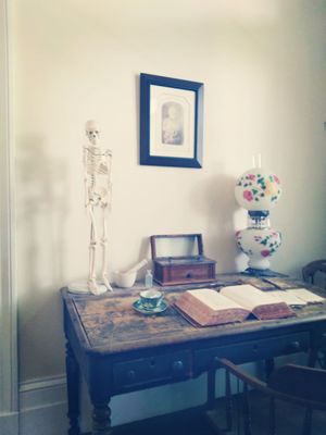 St. Joseph Plantation and Felicity Plantation by null