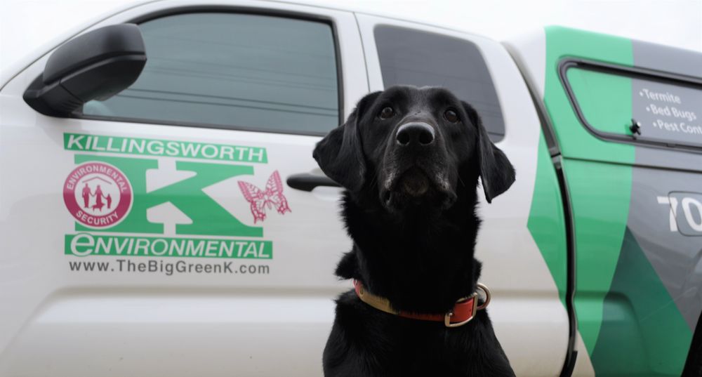 KILLINGSWORTH ENVIRONMENTAL Updated September 2024 14 Photos