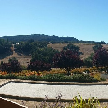 Denner Vineyards - Gorgeous day at Denner! - Wineries Near Me - Paso Robles, California Denner Vineyards - Gorgeous day at Denner! - Wineries Near Me - Paso Robles, California