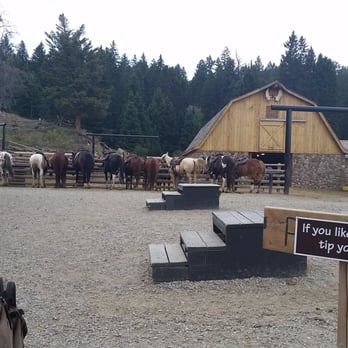 Hell's A-Roarin' Outfitters - Horseback Riding Near Me - Gardiner, Montana