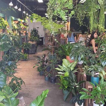 Plantoem - Interior from store entrance - Cafes Near Me - Honolulu, Hawaii