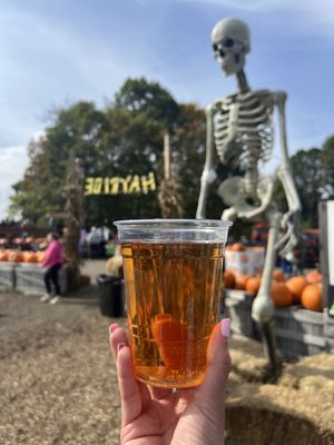 Dr Davies Farm by null