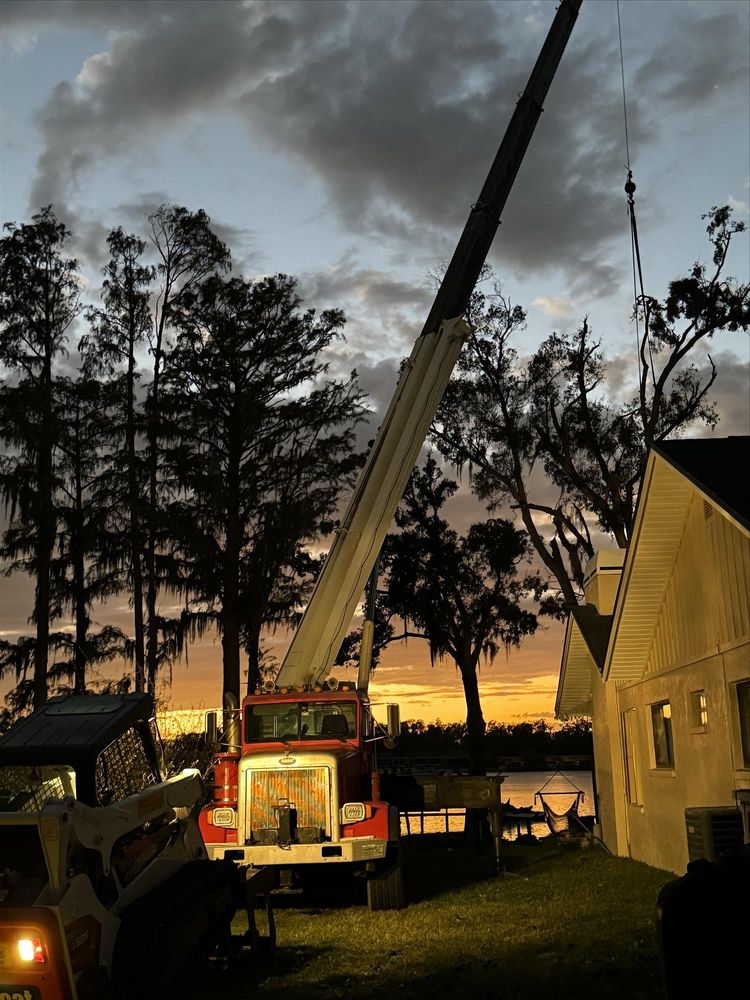 American Tree Solutions - tree service in Jacksonville, FL