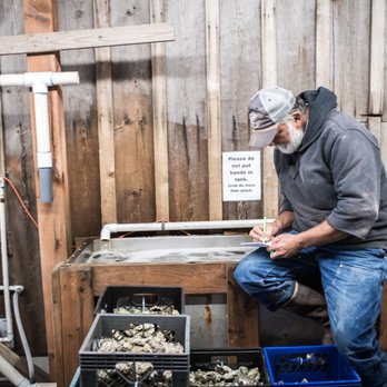 Buck Bay Shellfish Farm - Owner Mark check the list Picture by John Sinclair, wedinwashington.com - Seafood Markets Near Me - Olga, Washington Buck Bay Shellfish Farm - Owner Mark check the list Picture by John Sinclair, wedinwashington.com - Seafood Markets Near Me - Olga, Washington