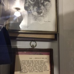 Knik Museum and Mushers Hall of Fame - The famous lead sled dog who made the Iditerod race famous in the first place.