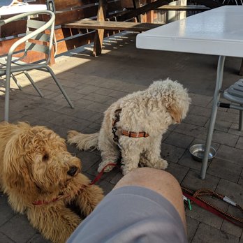 Sip Coffee & Beer - Brodie and Blaine helping me enjoy the patio, even on a hot day! - Coffee & Tea Near Me - Phoenix, Arizona Sip Coffee & Beer - Brodie and Blaine helping me enjoy the patio, even on a hot day! - Coffee & Tea Near Me - Phoenix, Arizona
