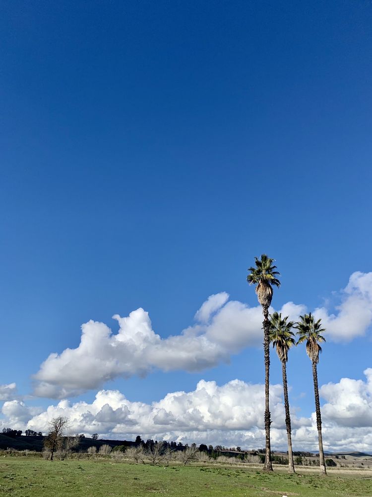 LOST LAKE PARK Updated September 2024 134 Photos & 23 Reviews