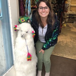 Adorable llama/alpaca outside the store Adorable llama/alpaca outside the store