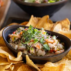 Alibi Tempe