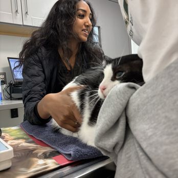 Overland Veterinary Clinic - Veterinarians Near Me - Los Angeles, California