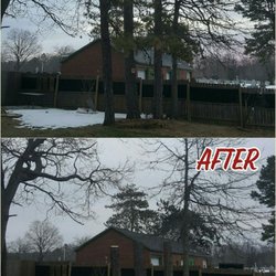 Abarca Tree Service - Great job guys.