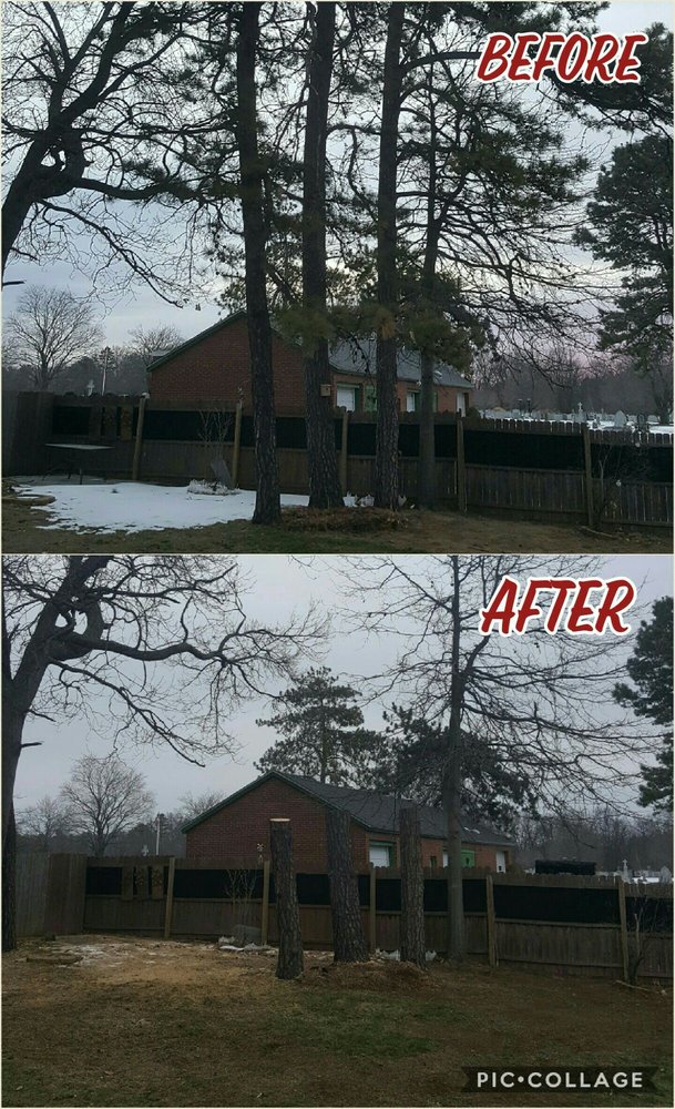 ABARCA TREE SERVICE Updated September 2024 Springfield