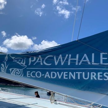 Pacific Whale Foundation - Community Service/Non-Profit Near Me - Wailuku, Hawaii Pacific Whale Foundation - Community Service/Non-Profit Near Me - Wailuku, Hawaii
