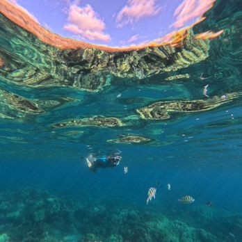 Pure Aloha Adventures - Tours Near Me - Honolulu, Hawaii