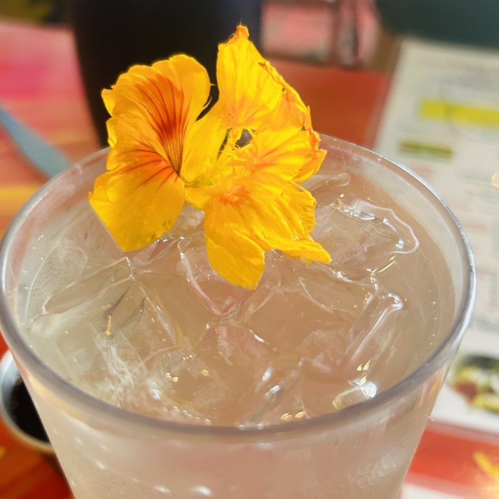 Pele's Kitchen - Coconut water - Breakfast & Brunch Near Me - Pahoa, Hawaii Pele's Kitchen - Coconut water - Breakfast & Brunch Near Me - Pahoa, Hawaii