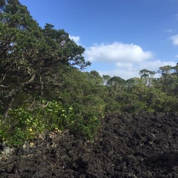 Rangitoto Island - Lava fields on Rangitoto - Local Flavor Near Me - Auckland, AUK Rangitoto Island - Lava fields on Rangitoto - Local Flavor Near Me - Auckland, AUK