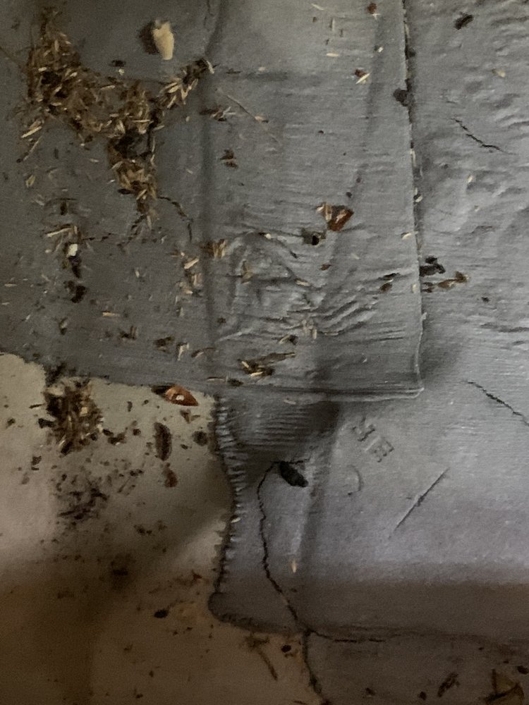 443 AUTO SALES Updated April 2024 26 Photos 2848 Blakeslee Blvd