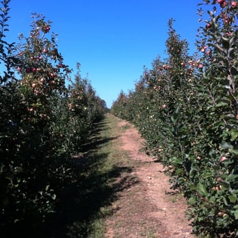 Mercier Orchards - Walk and eat, walk and eat - Bakeries Near Me - Blue Ridge, Georgia Mercier Orchards - Walk and eat, walk and eat - Bakeries Near Me - Blue Ridge, Georgia