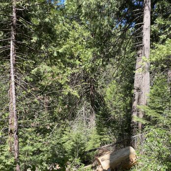 Lewis Creek Trail - Lots of beautiful you can take here. - Hiking Near Me Lewis Creek Trail - Lots of beautiful you can take here. - Hiking Near Me