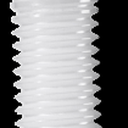 Eric K. Taylor, DDS - Metal-free Implant