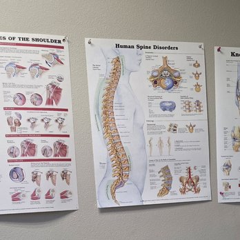 Klein Terren D MD - Orthopedists Near Me - El Paso, Texas Klein Terren D MD - Orthopedists Near Me - El Paso, Texas