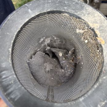 Rodriguez Cleaning Service - What was cleaned out of the downstairs vents - Carpet Cleaning Near Me - Louisville, Kentucky Rodriguez Cleaning Service - What was cleaned out of the downstairs vents - Carpet Cleaning Near Me - Louisville, Kentucky