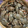 Freehold Fish Market 1