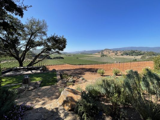 Gargiulo Vineyards by null
