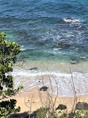 Ho'okipa Beach Park by null