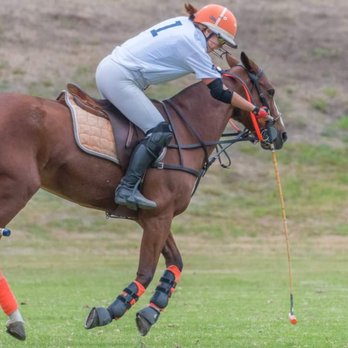 Elizabeth Marquart - Equity Union - Playing polo on my pony Pimms Cup - Real Estate Agents Near Me - La Quinta, California Elizabeth Marquart - Equity Union - Playing polo on my pony Pimms Cup - Real Estate Agents Near Me - La Quinta, California