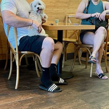 4estea - Dog service in the dining room - Coffee & Tea Near Me - Rancho Cordova, California 4estea - Dog service in the dining room - Coffee & Tea Near Me - Rancho Cordova, California