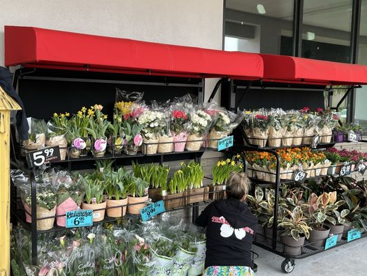 Trader Joe’s by null