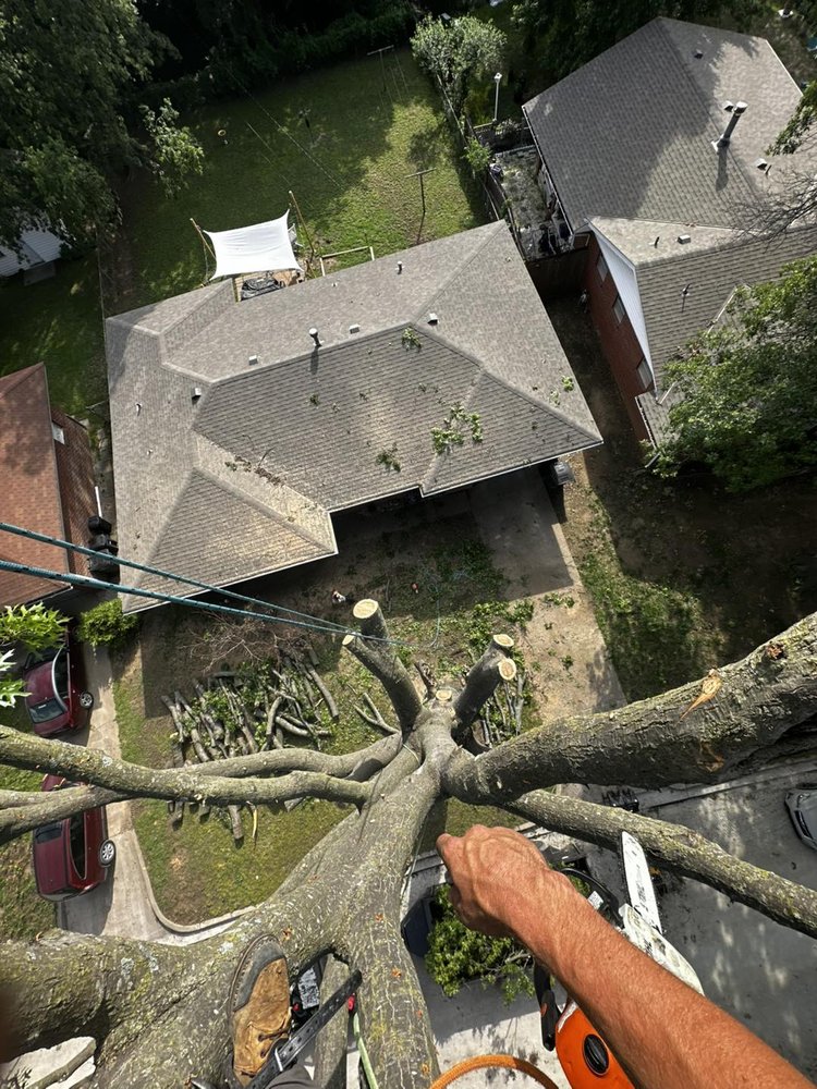 Loggin Services - veterans service organization in Skiatook, OK