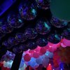 Supernova Seattle gift card