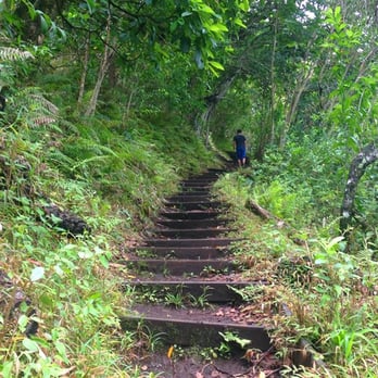 Makiki Valley Trail - Hiking Near Me - Honolulu, Hawaii Makiki Valley Trail - Hiking Near Me - Honolulu, Hawaii
