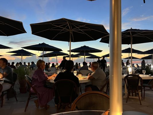 The Turtle Club by null