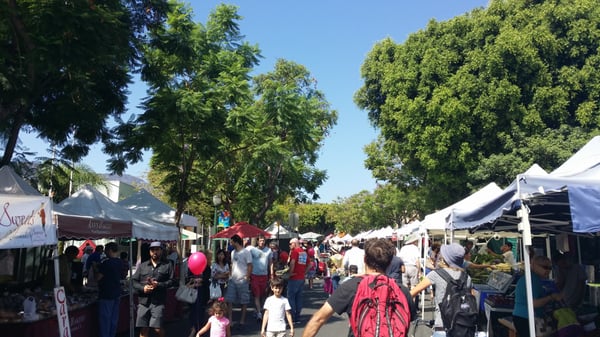 Montrose Farmers Market by null