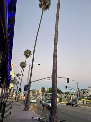Aroma Sunset Bar and Grill by null